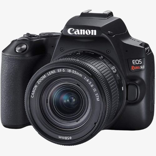 Canon Camera For Beginner